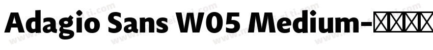 Adagio Sans W05 Medium字体转换